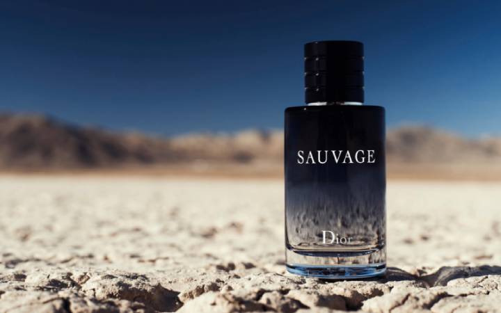 Dior Sauvage Dossier.Co