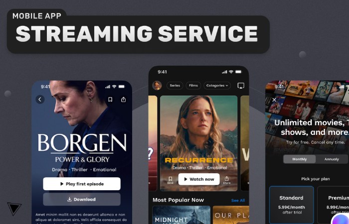 II. Types of Streaming Platforms