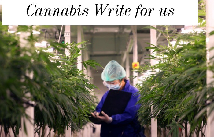 Cannabis Write for us