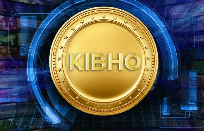 What is Kibho Coin_