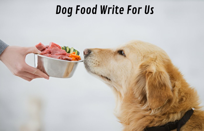 Dog Food Write For Us