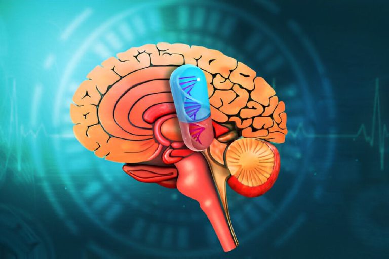 The Science of Addiction: How Rehab Programs are Designed to Help